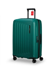 Check-In Luggage