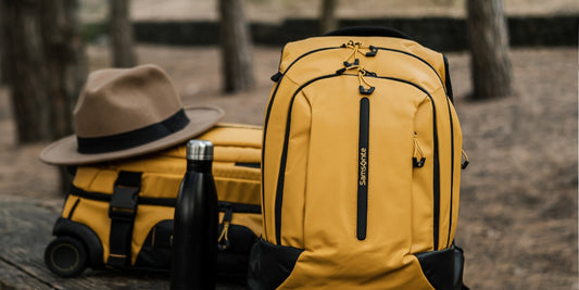 Embrace Green Travel With Case