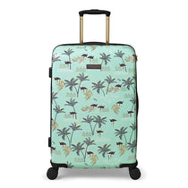 Check-in Luggage