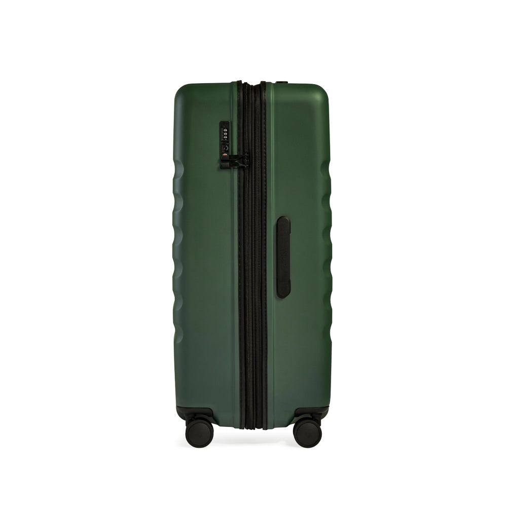 Antler_4719157015_green