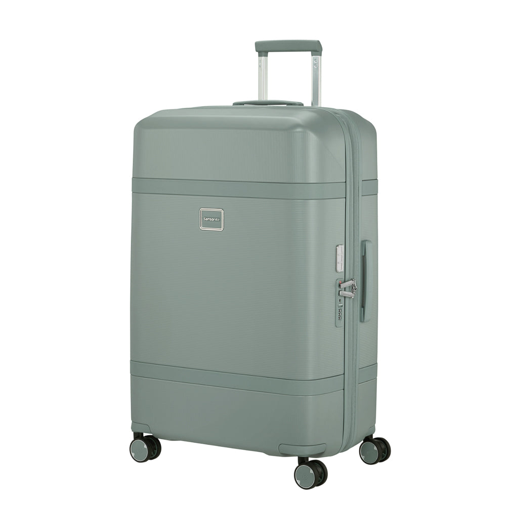 Samsonite_154693_thyme