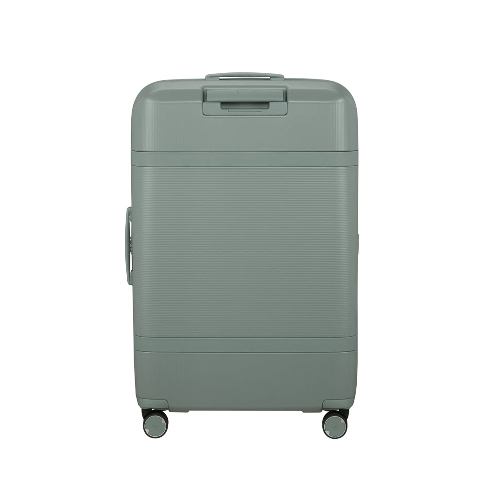 Samsonite_154693_thyme