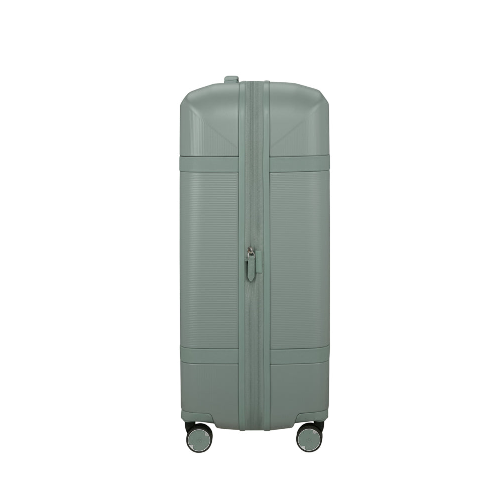 Samsonite_154693_thyme