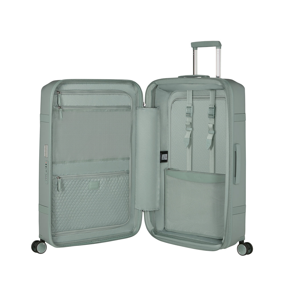 Samsonite_154693_thyme