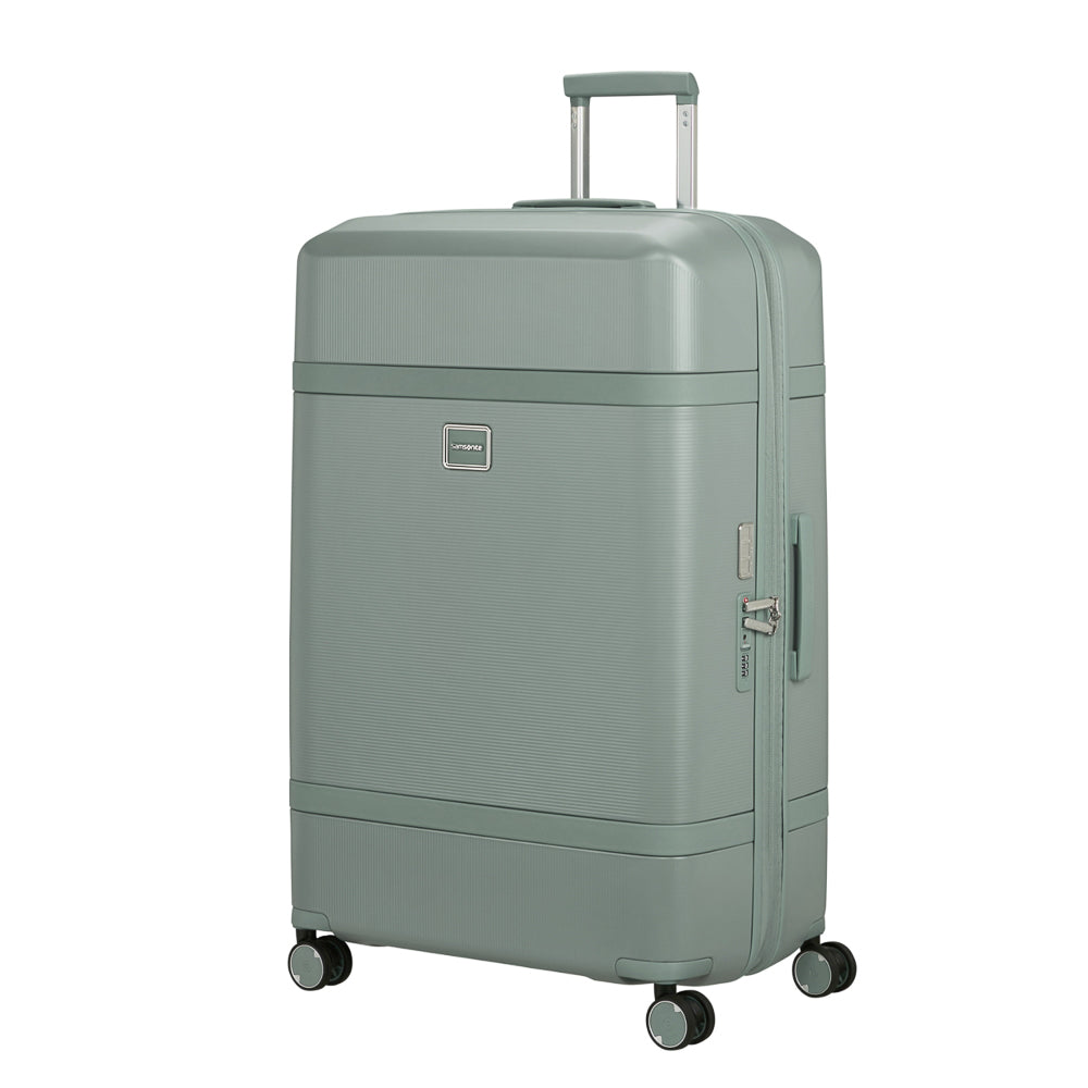 Samsonite_154694_thyme