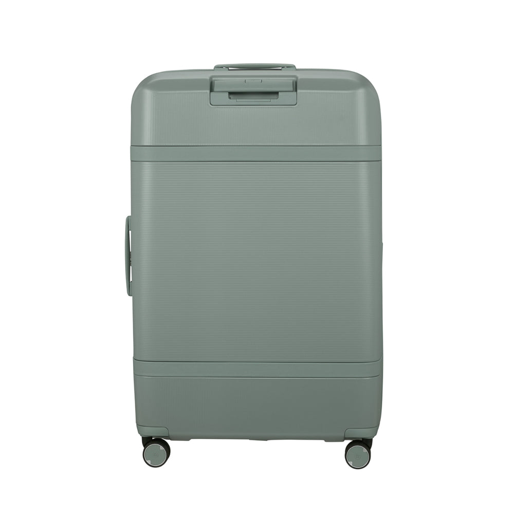Samsonite_154694_thyme