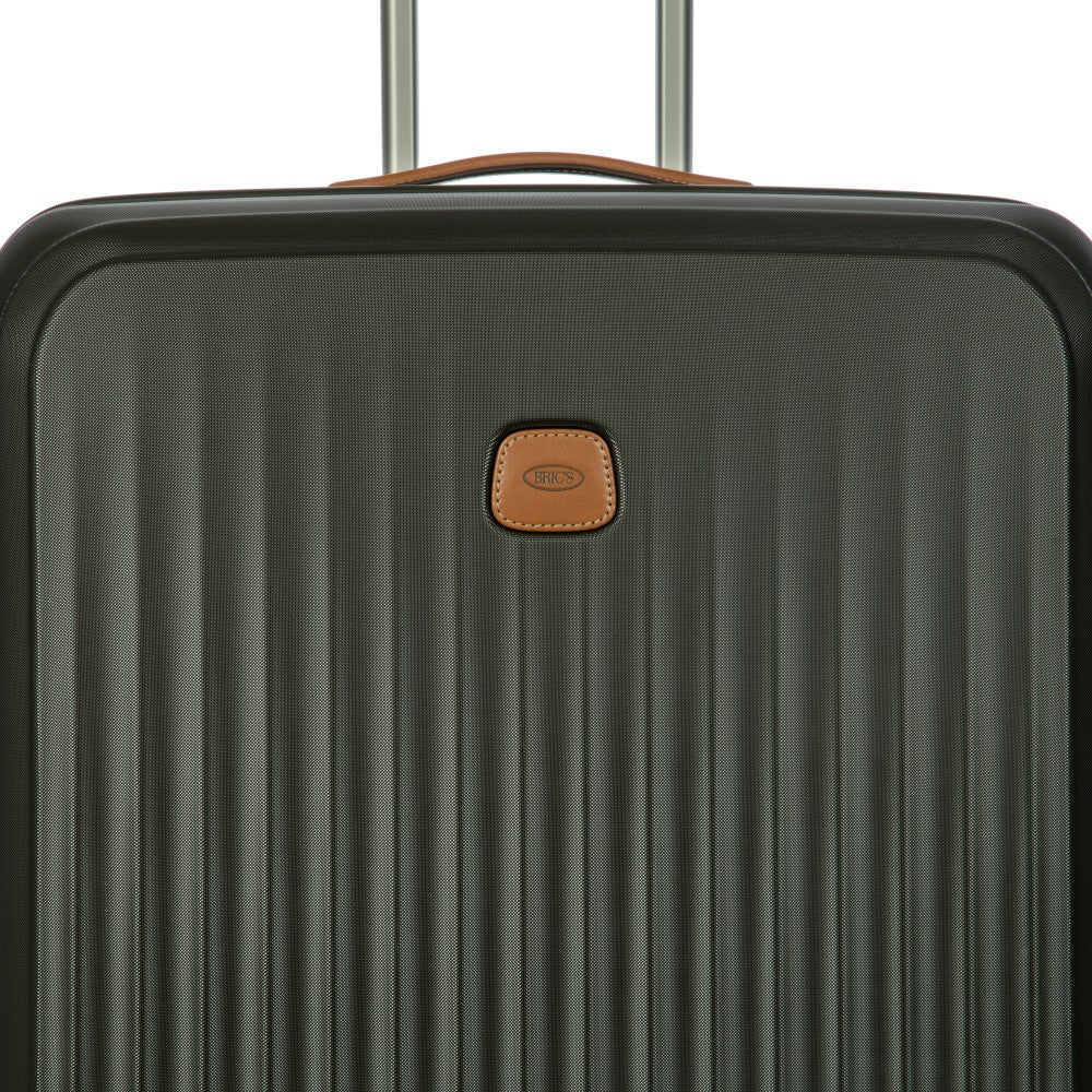 Brics_BAH08454_olive