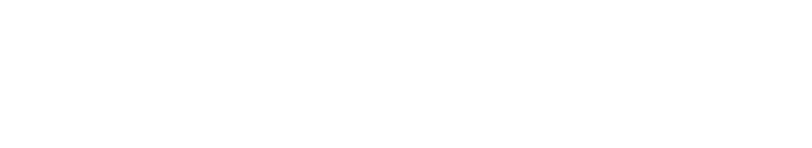 Delsey Paris
