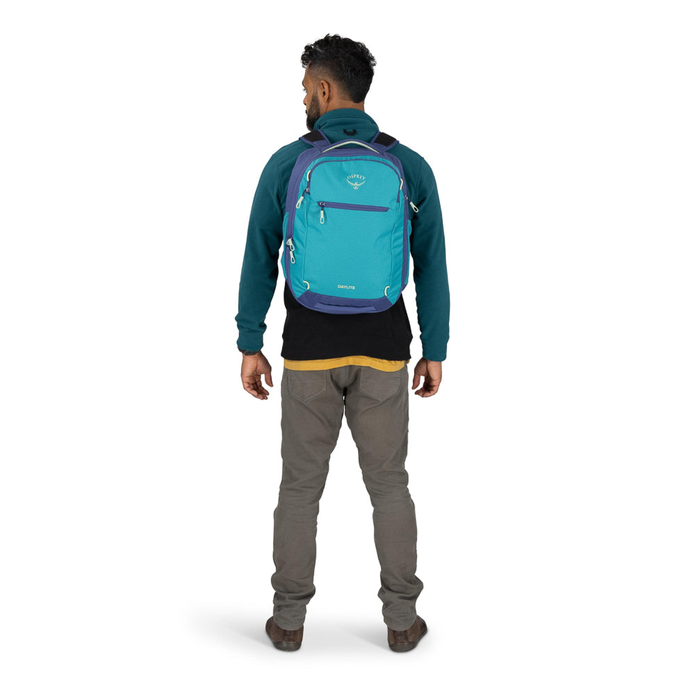 Osprey_10006131_blue_spikemoss_alkaline