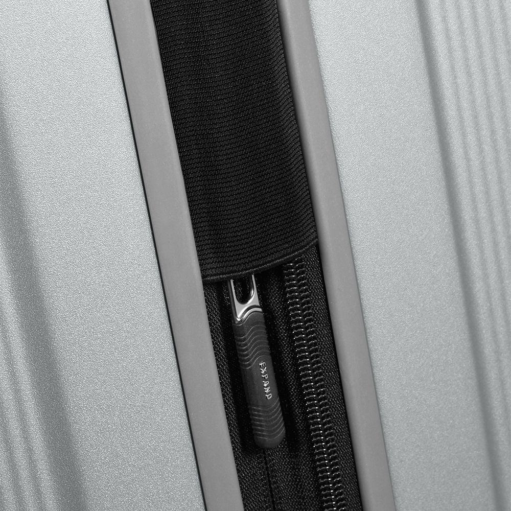 samsonite_134403_mattsilver