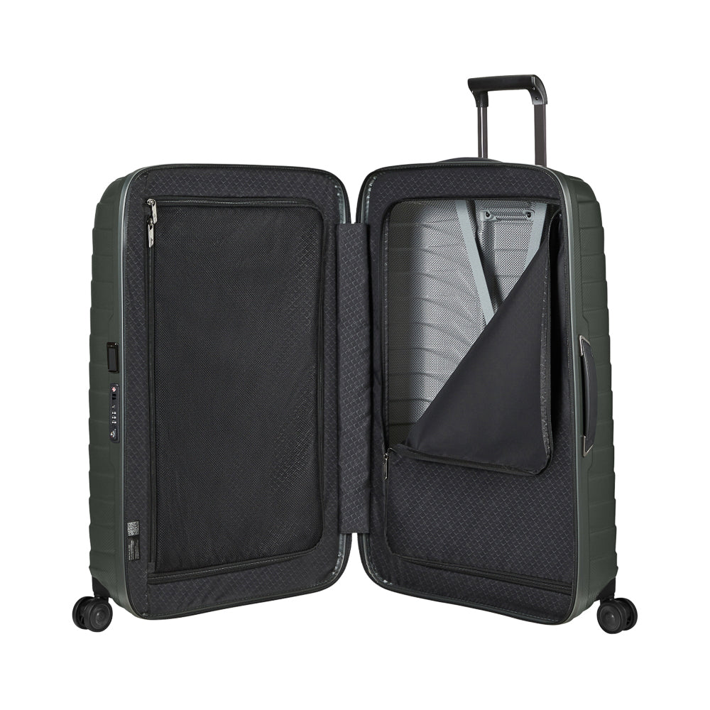 samsonite_126043_climbing_ivy