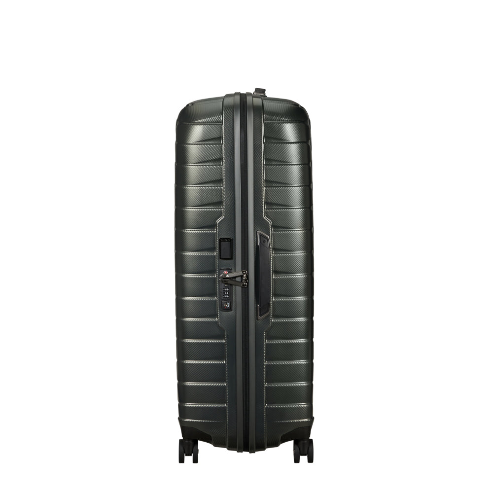 samsonite_126043_climbing_ivy