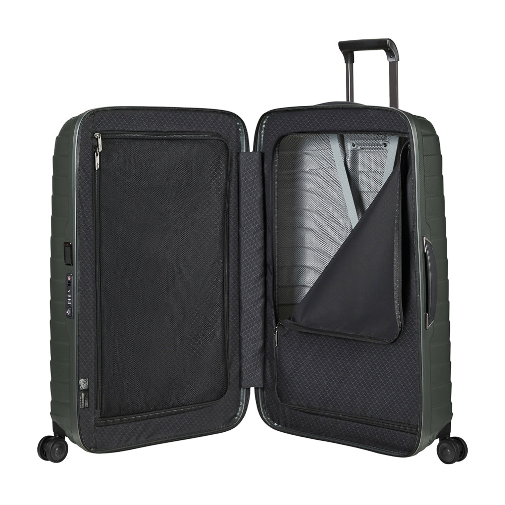 samsonite_149296_climbing_ivy