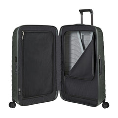 samsonite_149296_climbing_ivy