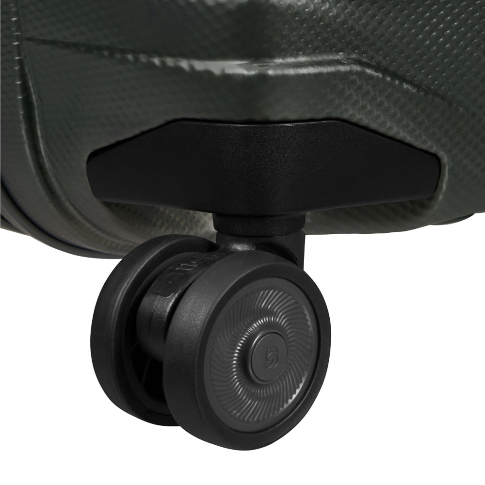 samsonite_149296_climbing_ivy